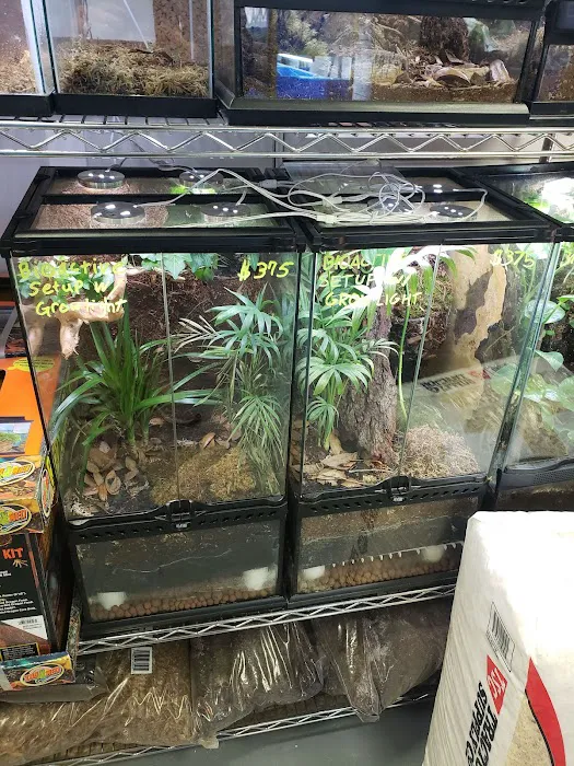 A & R Reptiles and Aquariums Picture 8