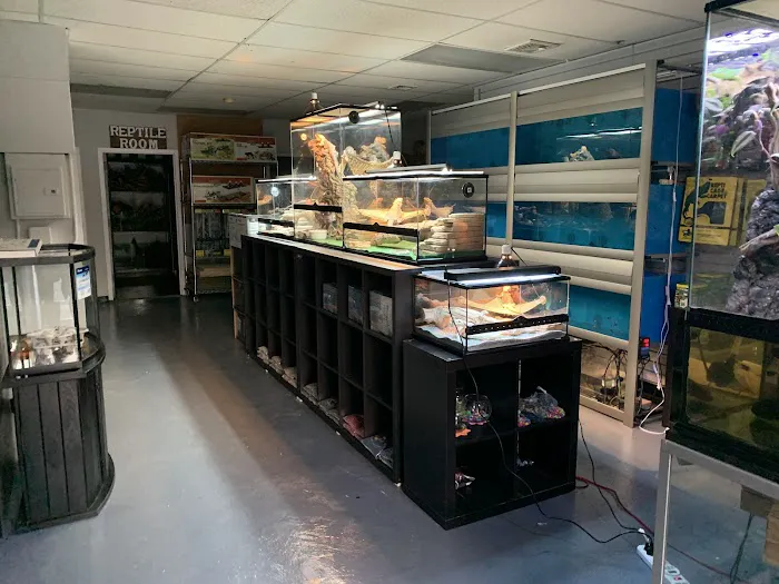 A & R Reptiles and Aquariums Picture 9