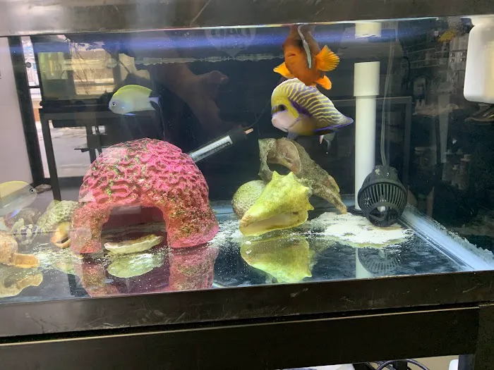 A & R Reptiles and Aquariums Picture 10