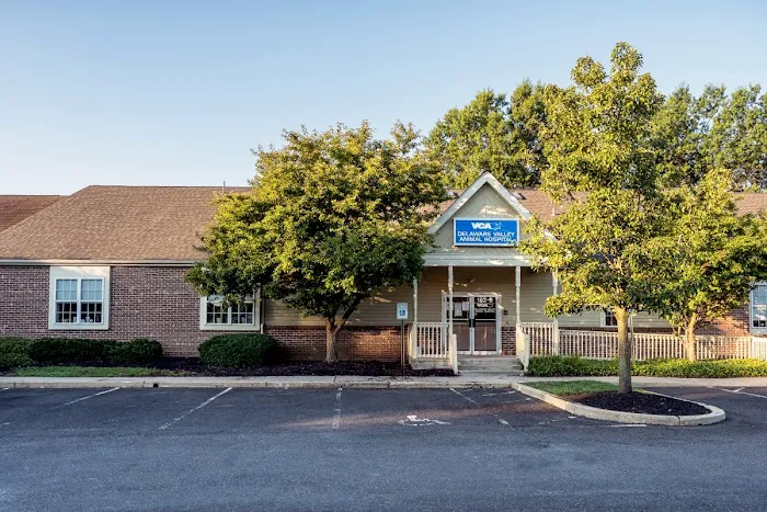 VCA Delaware Valley Animal Hospital Picture 3
