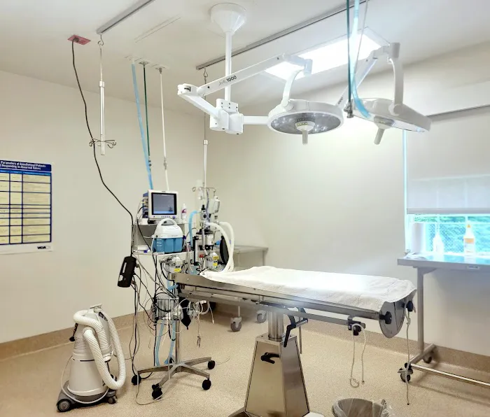 VCA Delaware Valley Animal Hospital Picture 6