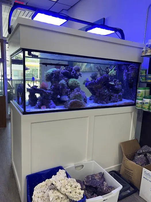 Jawz Aquarium Picture 2