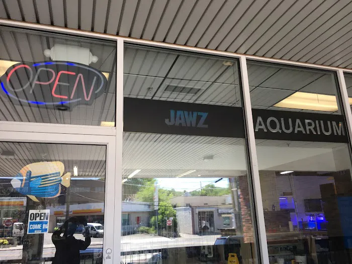Jawz Aquarium Picture 3