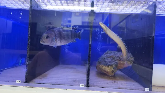 Jawz Aquarium Picture 8