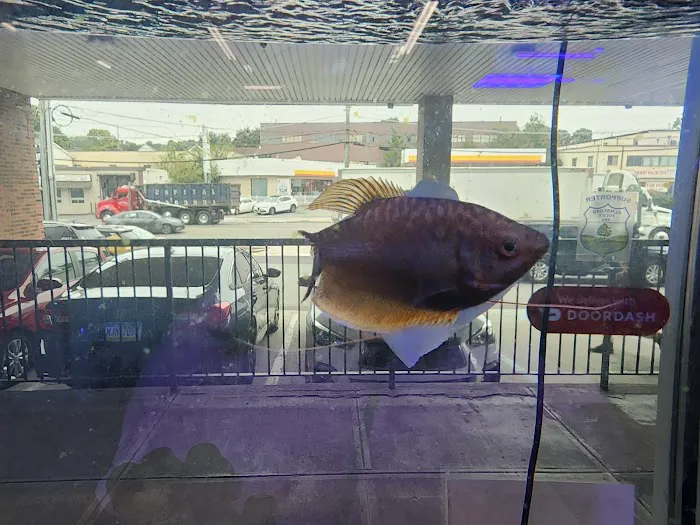 Jawz Aquarium Picture 4