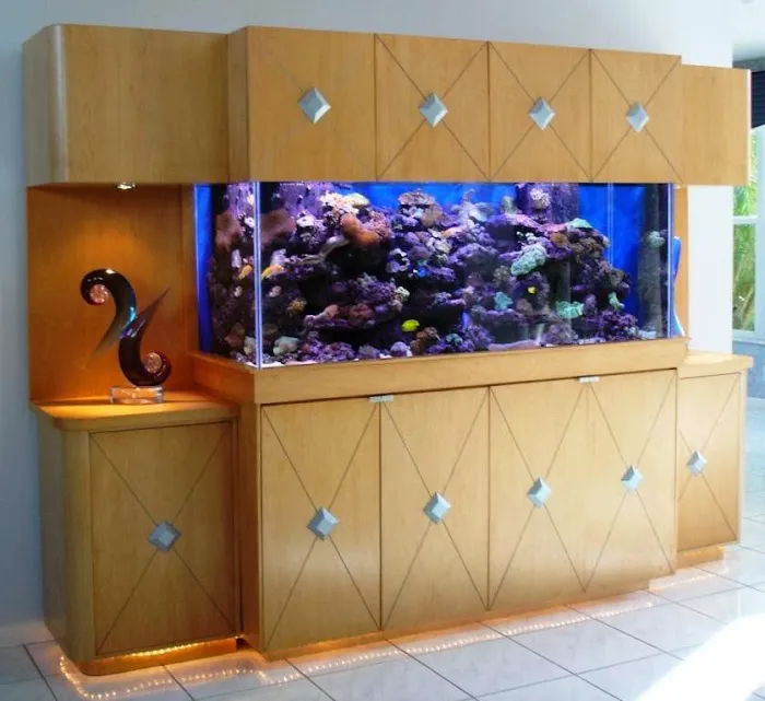 Jawz Aquarium Picture 6