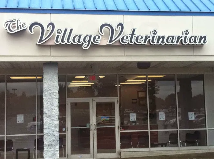 The Village Veterinarian Picture 8