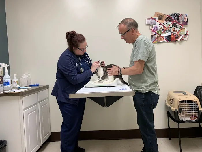 BluePearl Pet Hospital Picture 8