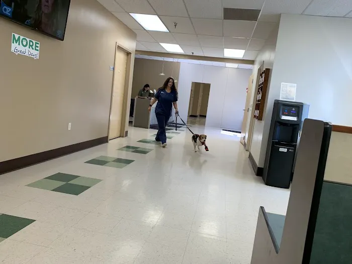 BluePearl Pet Hospital Picture 10
