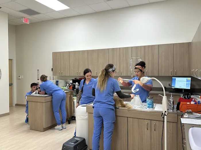 Pets Furst Urgent Care Picture 2