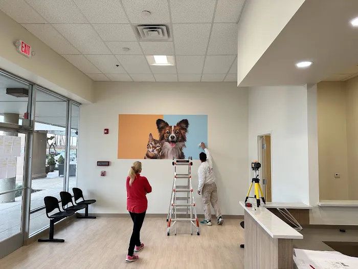 Pets Furst Urgent Care Picture 5