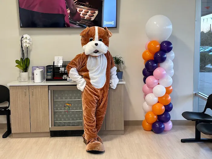 Pets Furst Urgent Care Picture 10