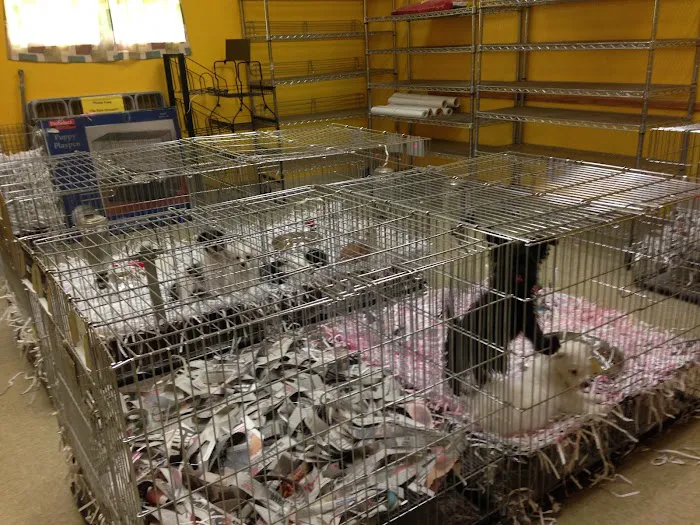 Pet Palace of New City Picture 3
