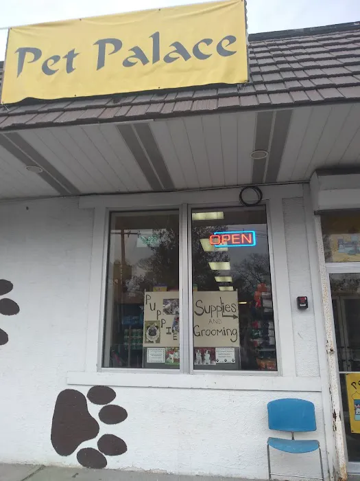 Pet Palace of New City Picture 1