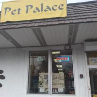 Pet Palace of New City ico