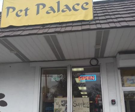 Pet Palace of New City