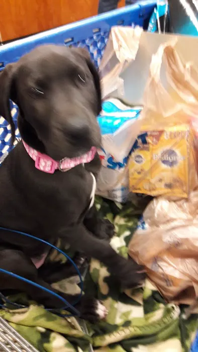 Banfield Pet Hospital Picture 6