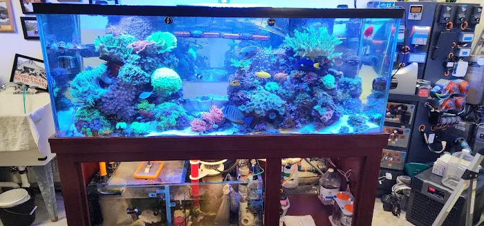 Dynamic Tank Design Picture 3