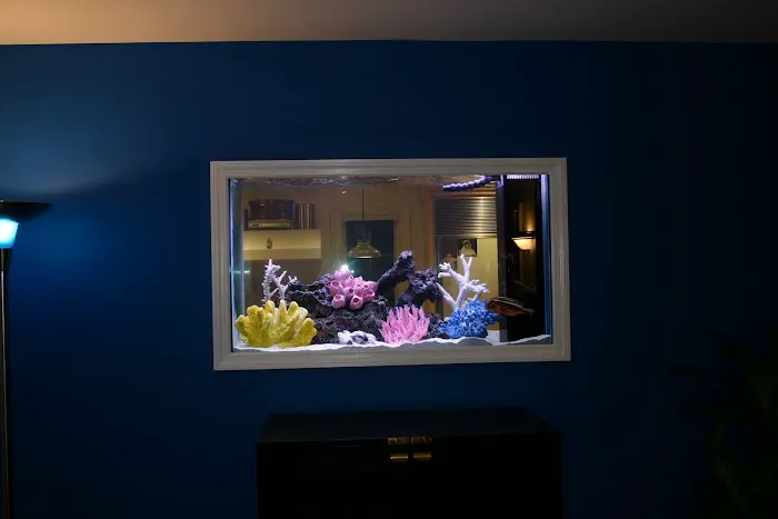 Dynamic Tank Design Picture 5