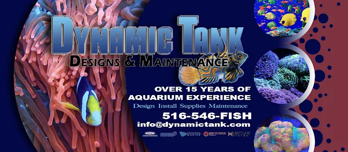 Dynamic Tank Design Picture 8