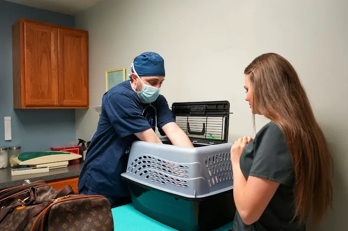 Ace of Spays: Optimizing Spay/Neuter Care Picture 2
