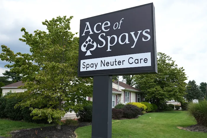 Ace of Spays: Optimizing Spay/Neuter Care Picture 8