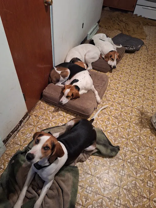 Ace of Spays: Optimizing Spay/Neuter Care Picture 7