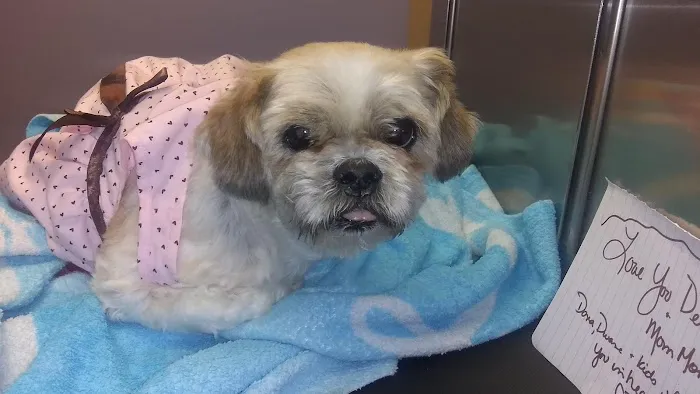 Bryan Animal Hospital Picture 3