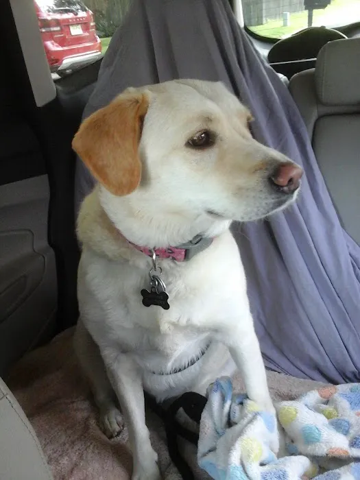 Bryan Animal Hospital Picture 8