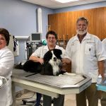 Village Veterinary Hospital
