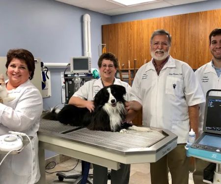 Village Veterinary Hospital