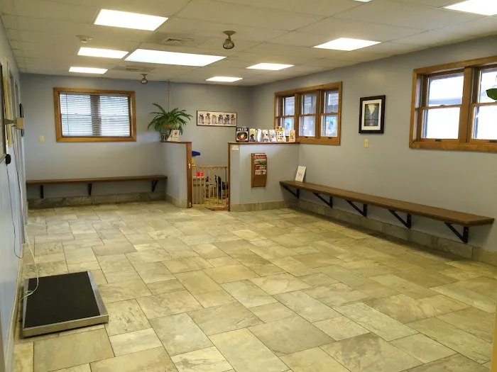Village Veterinary Hospital Picture 2