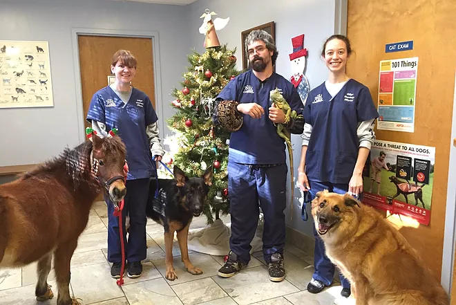 Village Veterinary Hospital Picture 3