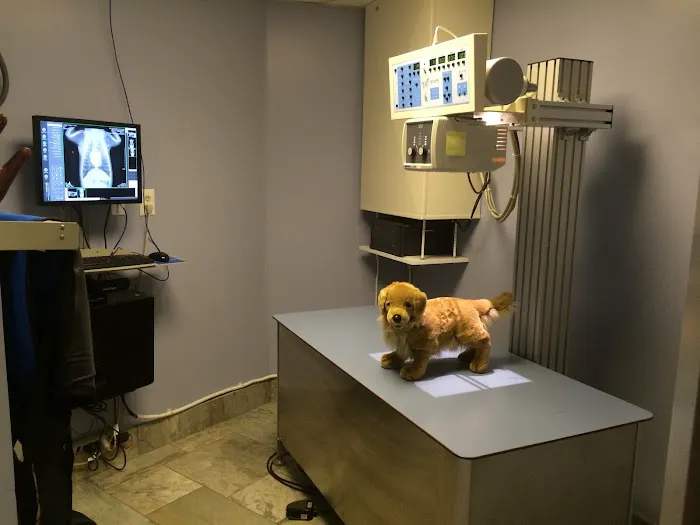 Village Veterinary Hospital Picture 6
