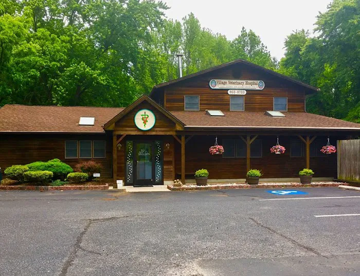 Village Veterinary Hospital Picture 4