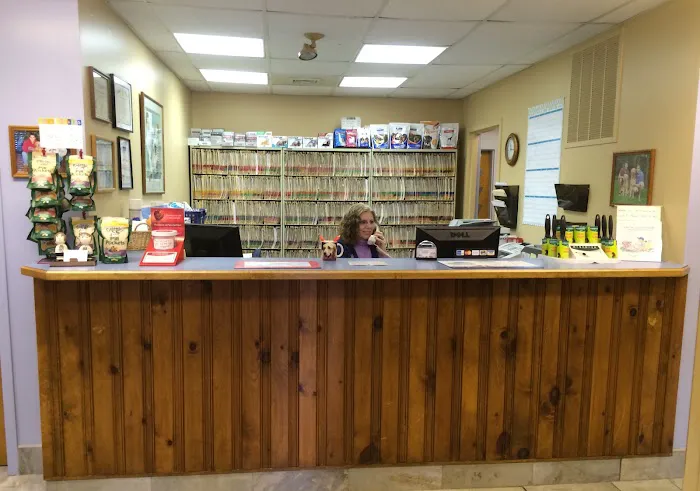 Village Veterinary Hospital Picture 5