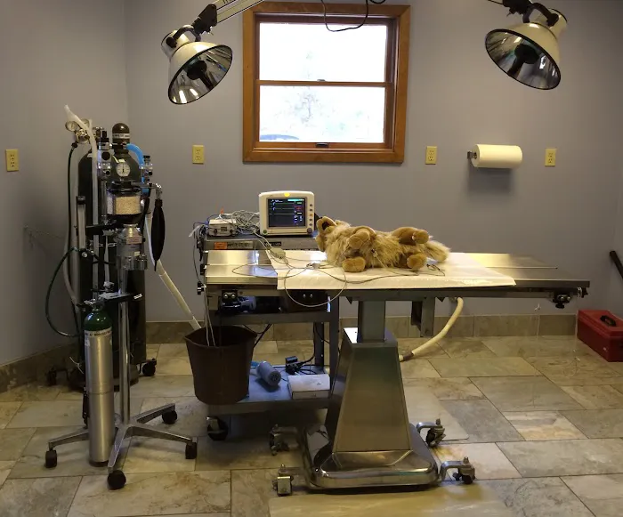 Village Veterinary Hospital Picture 9