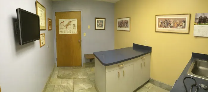 Village Veterinary Hospital Picture 7
