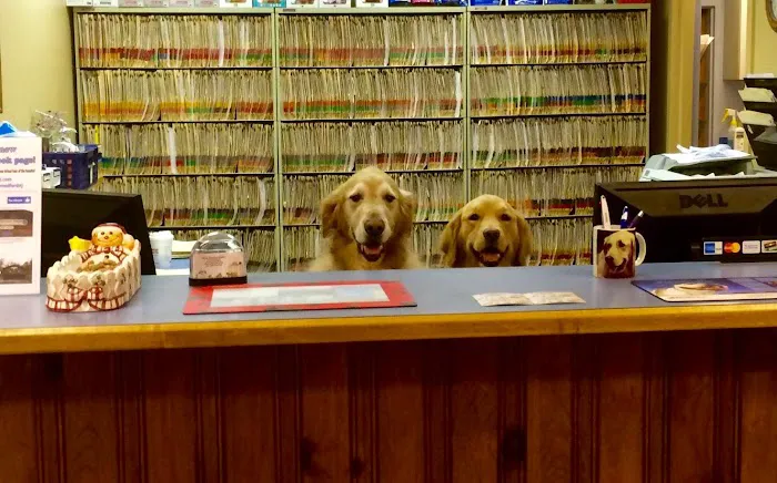 Village Veterinary Hospital Picture 8