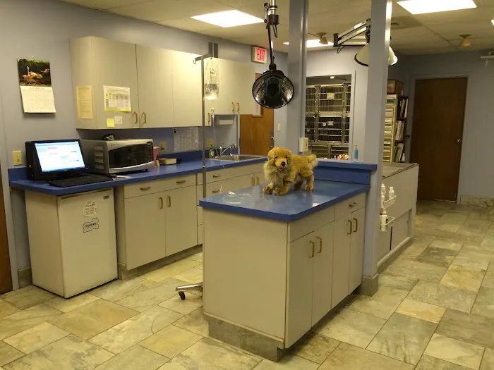 Village Veterinary Hospital Picture 10