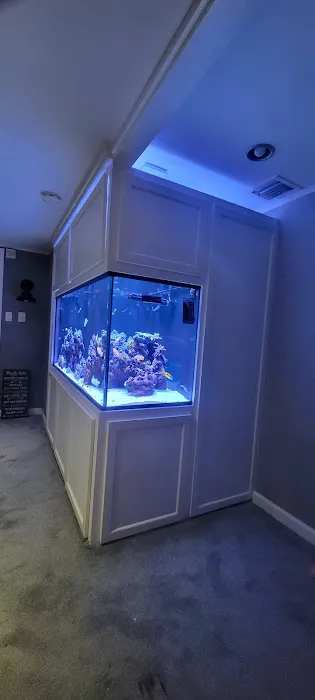 Aquarium Network Picture 1