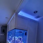 Aquarium Network