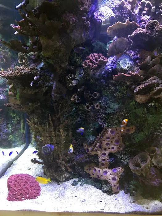 Aquarium Network Picture 7