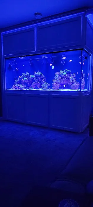 Aquarium Network Picture 6