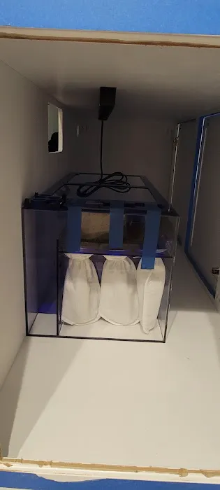 Aquarium Network Picture 9