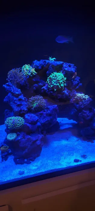 Aquarium Network Picture 10
