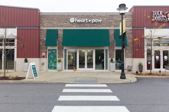 Heart + Paw Picture 2