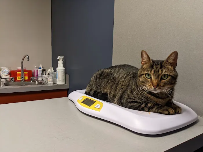 King of Prussia Veterinary Hospital Picture 1