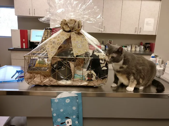 King of Prussia Veterinary Hospital Picture 9