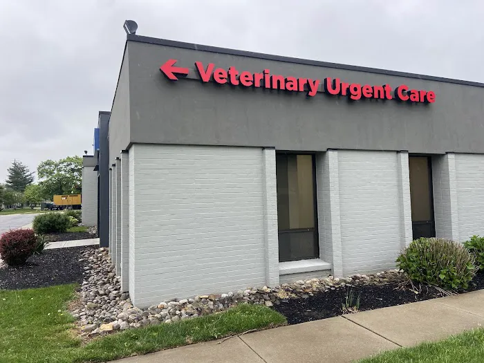 Metropolitan Veterinary Urgent Care and Specialty Picture 2